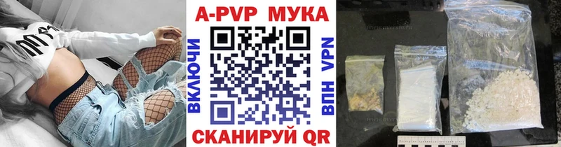  COCAIN Судогда