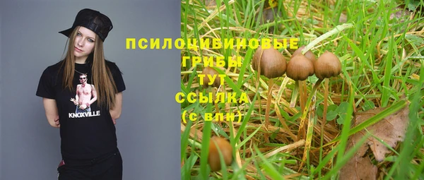 МДМА Богородск