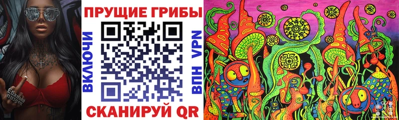 Галлюциногенные грибы прущие грибы  Купить где  Судогда 